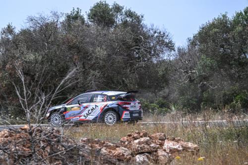 Fontana Corrado-Arena Nicola, Hyundai i20 WRC #5